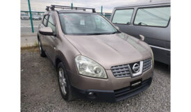 Nissan Dualis 2007